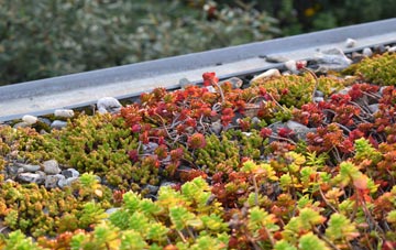 the cost of Chute Cadley green roof installation