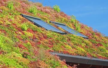 Chute Cadley living roof systems