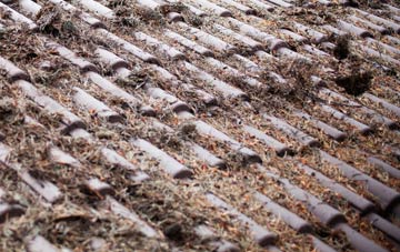 Chute Cadley roof cleaning companies