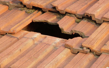 roof repair Chute Cadley, Wiltshire