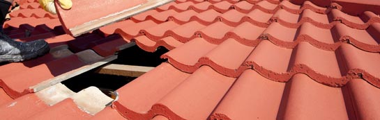 compare Chute Cadley roof repair quotes