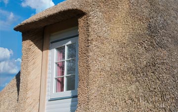 Chute Cadley thatch roof disadvantages
