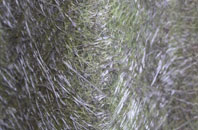 Chute Cadley fibreglass roof work